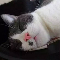 ��Щ����ý����������ˣ�ԭ���Ҳ������Ц��...