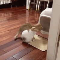 èè�Ŷ��ϲ���ʱ����ǿ�Ʋ�ӣ����ѣ��Եö����öࣿ��