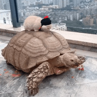 è�������Ⱳ�Ӷ�û�뵽���Լ�������ôӲ�˵������