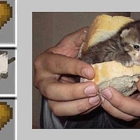 è�³�������׳��ÿֻ����è�ı�����PS��ʦ��������