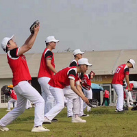 Ž ˾ŽûЧǴ򿪷ʽԣ