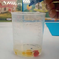 ��������֪ʶ��һ��ͺ�������ѧСʵ�飡