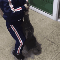 ����ˤ����ĺ�è���ڰ�����а�����лл�ң���