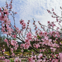 �һ���������