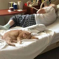 ��è����Ŀ��Ի���¶���