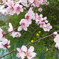 �һ�����Ц����