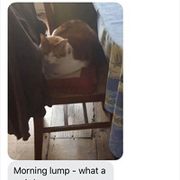 ��ֽÿ��ȥ��Ʊ�ҹ�ҹ�����趼����ֱ����èƬ����