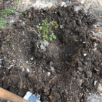 �����������Ļ���