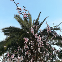 ��֮زز�������仪��