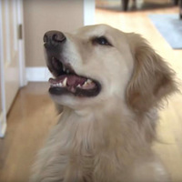 ����ã�����һ��60��Ŀ�ݣ��鷳ǩ��һ�¡���