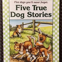 Ӣ��ѧϰ���������ܴ���