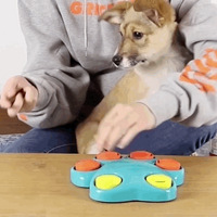 һ���ɡ�������ߡ����������̴�PK��������VS���Ȼ�