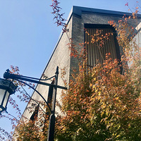 ����С��