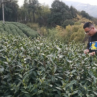 ��ɽ��ɽ��������ũ���㲻Ŭ����ͳ����ɡ�