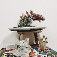 ����ҲҪ��������