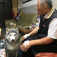 �ж������������������⹫���跹��˼����ü����