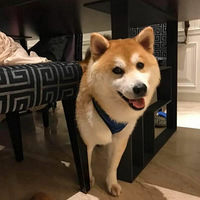 ��Ȯ��α��������²�ʺ��Ϊ���������½䱸����Ȼ��