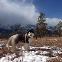 ����ҹ��ӻ�Ǯ����һ�θ���ʲô�����ѣ��㾡ȫ���ҵ���Ϊ����