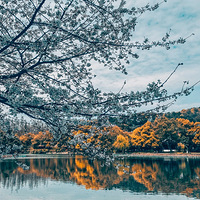 ������е����ɫ