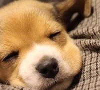 ��������ܻ���¶���֪�����ѵĻش𣬿�����������