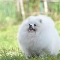 ����11��ǿ����������޹������ǻ�����