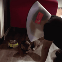 ȫ�Ҵ�������ɯ��Ȧ������ԭ��ů�ޣ�