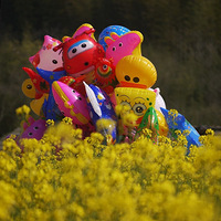 ���մ���