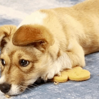 ����ֵҲ�޷���������ҧ����ߡ�������Ͱ���ˡ� | ���Ͽ���