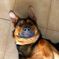 �����ڼ䲻���ţ�����Ҫÿ���¸�����������