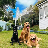 �����Ĺ���һ�������£��������������˷���3���º����ڳɹ�