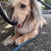 �����뿪2������γ������ľ���֧������ʱ�޿̶�Ҫ���ţ�