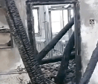 Ů��һ��ǰ����һֻ���˹���һ��󹷹���������ȫ�ң�