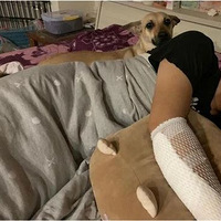 ������˰��㣡�ְֳ����Դ�������һҹ�����������