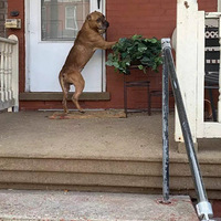 ��֪�Լ��������������ڼ��ſڣ���־Ը�ߴ���ʱ�������ˡ�