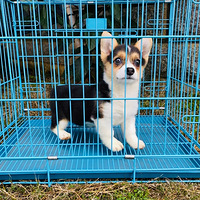 ������������������ɫ�»�����ɹɹ̫����С