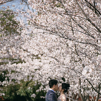 AK�߶���ɴ&PHAETON����Ӱ��#��