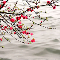 ���������һ���