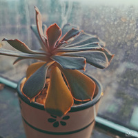 �ҵ�����