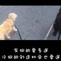 �Ѿ�����38���ˣ����������к�����Ϊ�˳��Űѹ�����̱��