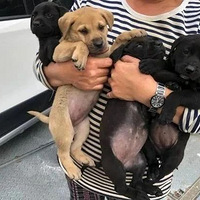 һ����Сʱ�ڣ�����ͽ��7.6�������ʧ���ĸ��������˻�����