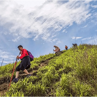 [������]5.1-5.3�书ɽ3��2��ͽ�����ƶ˲ݵ飬���ǿ��ճ�����