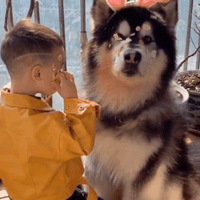 С�����ܲ��Ź����棬����һ�����Σ��裬����ң�