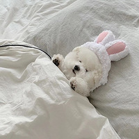 һ�Ź���˯������Ƭ���ˣ�����ŭ�ޣ���ô�ԵĹ���������һ��