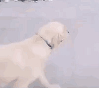 Цʺ�ˣ�ɽ��ҽ�ƶ������Ӱʱ�����ëǿ�����룺�������������