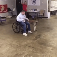 ʷ����û��ֵķ���Ȯ�����ѣ������ϰ�Ļ���������ѩ����...