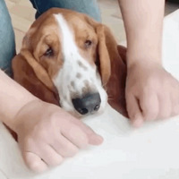 ���ɰ�����ֻ������̫�����Է���ʱ�򻹵���������