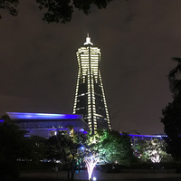 ҹ��������