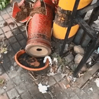 ��ʺ�ٳ��Ű��£����ֻ��ʿ��ϻ��������Ħ�г�������Ц�磺