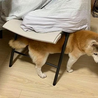 16���������а��ޣ��������ۣ������������㶼���ҵı�����