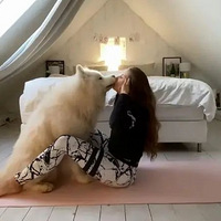 ���ܳ��ţ������������˶���̫�ɰ��˼�ֱ�������˽�˽���